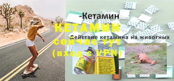 apvp Инсар