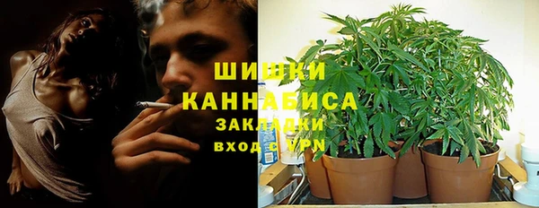 сатива Каменск-Шахтинский