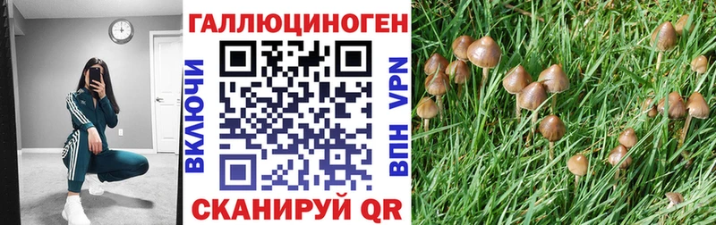 Галлюциногенные грибы мицелий  Купить  Алагир 